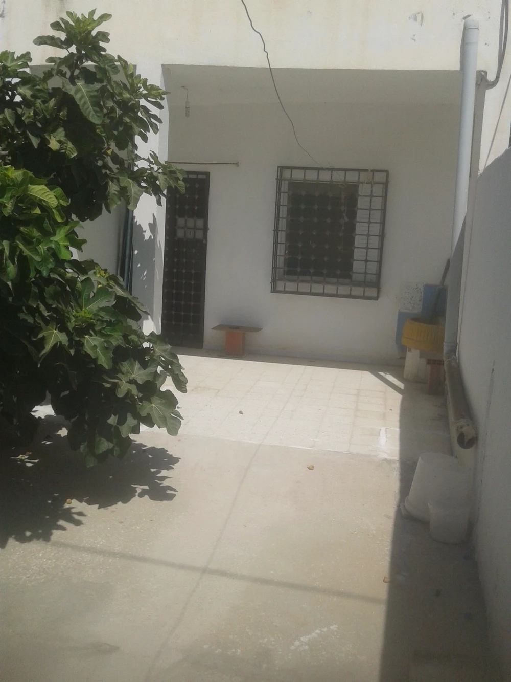 Hammam Chatt Borj Cedria Vente Maisons Opportunit