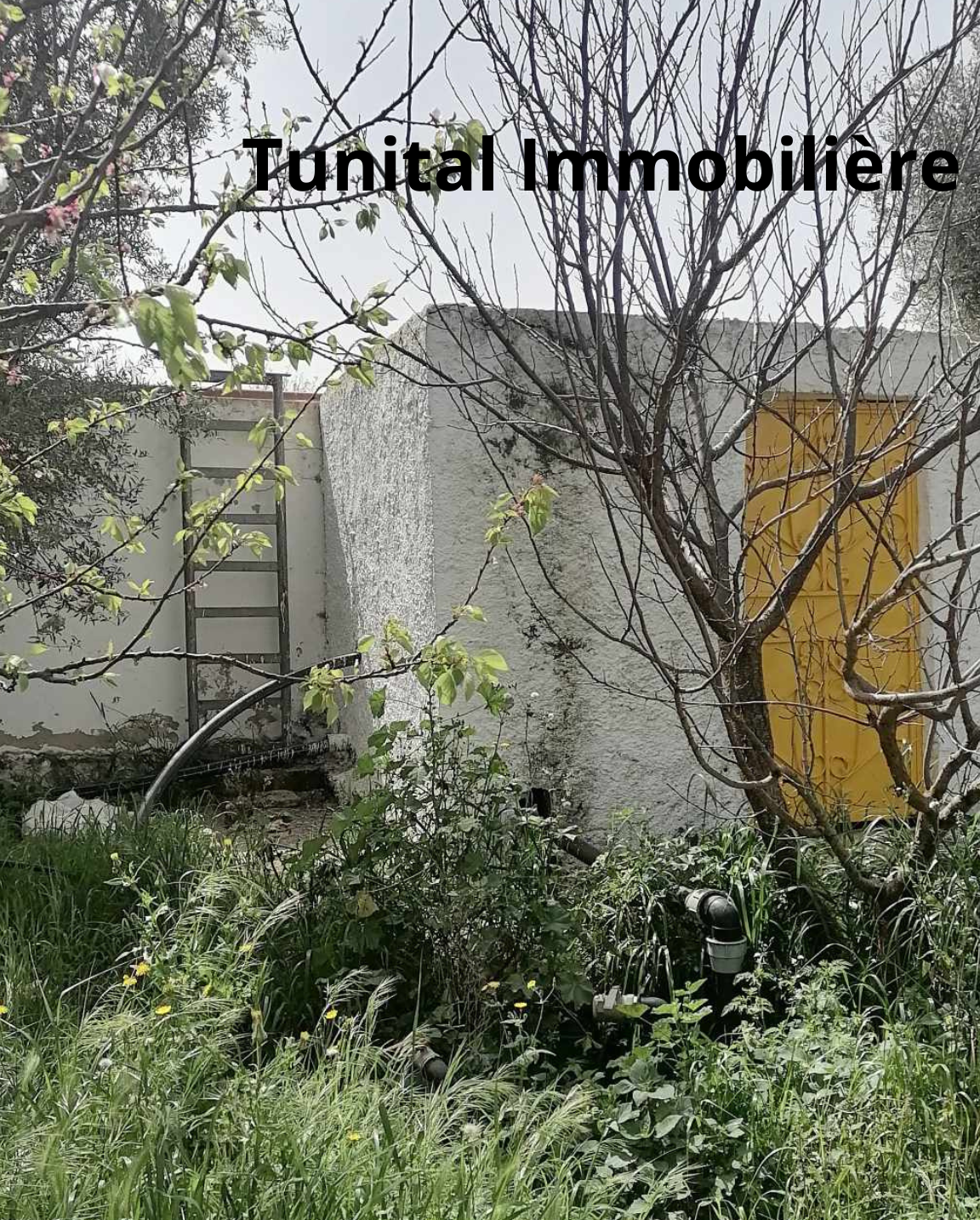 Borj El Amri Borj El Amri Vente Autre Borj el amri gouvernorat de manouba une ferme