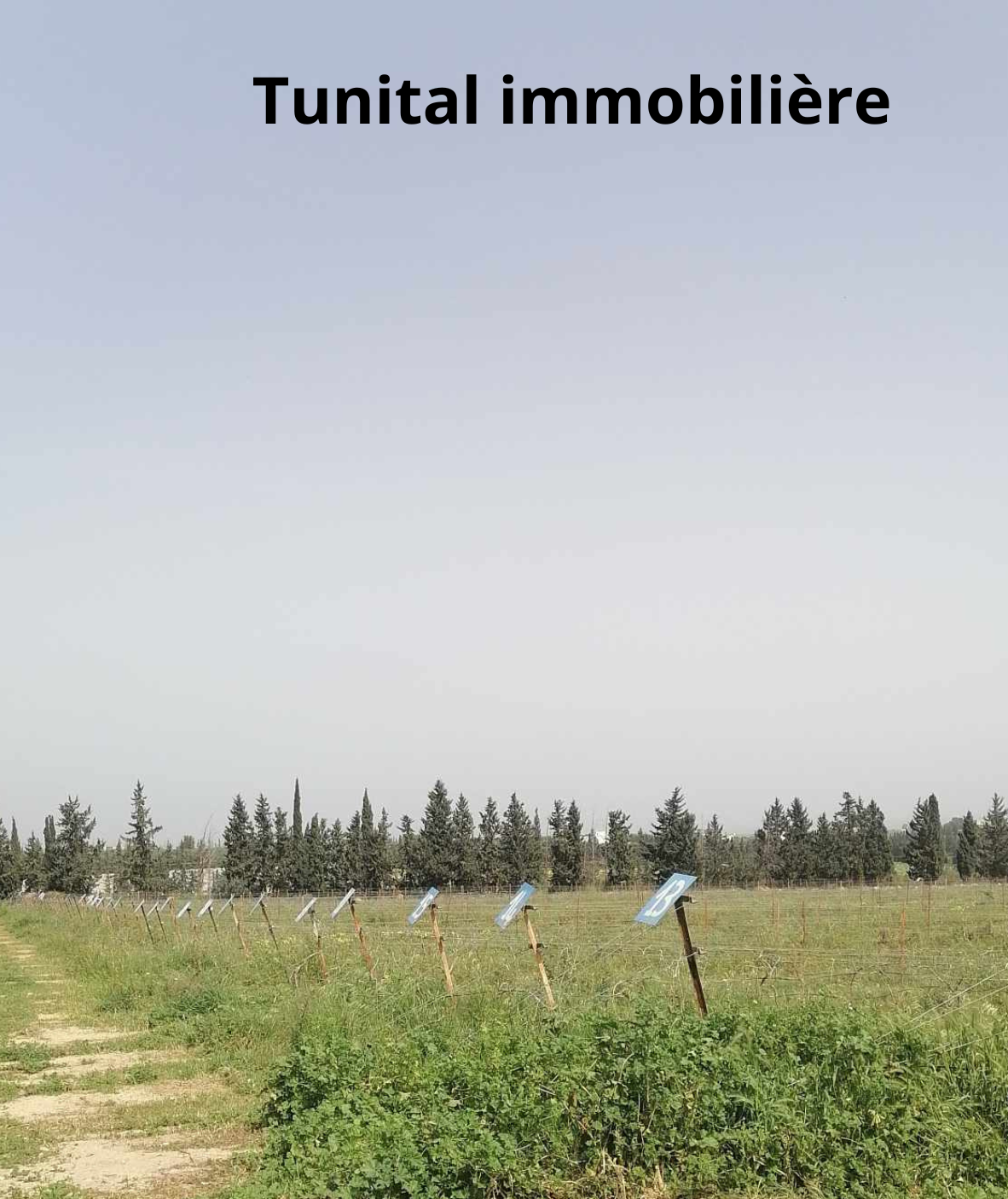 Borj El Amri Borj El Amri Vente Autre Borj el amri gouvernorat de manouba une ferme