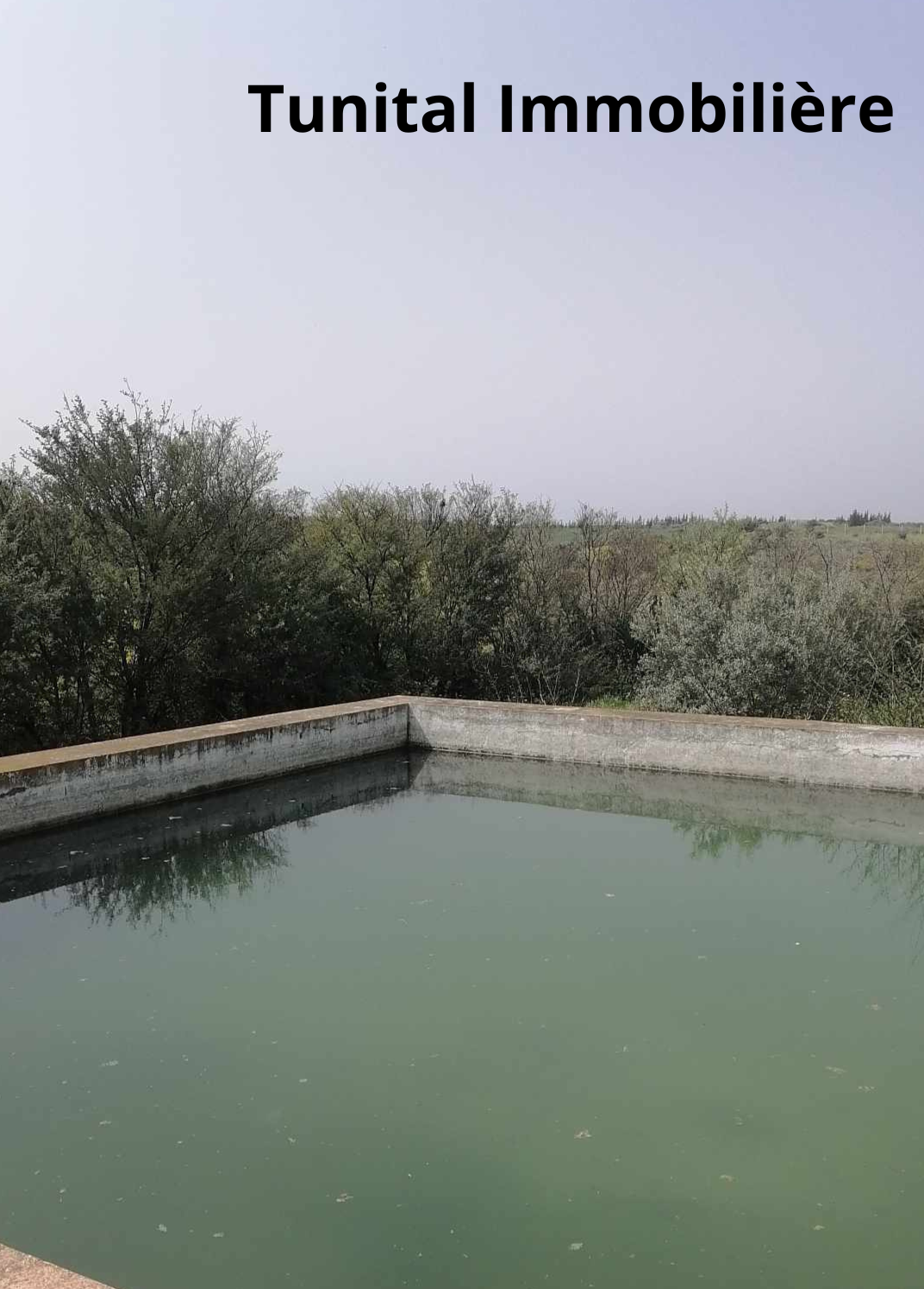 Borj El Amri Borj El Amri Vente Autre Borj el amri gouvernorat de manouba une ferme