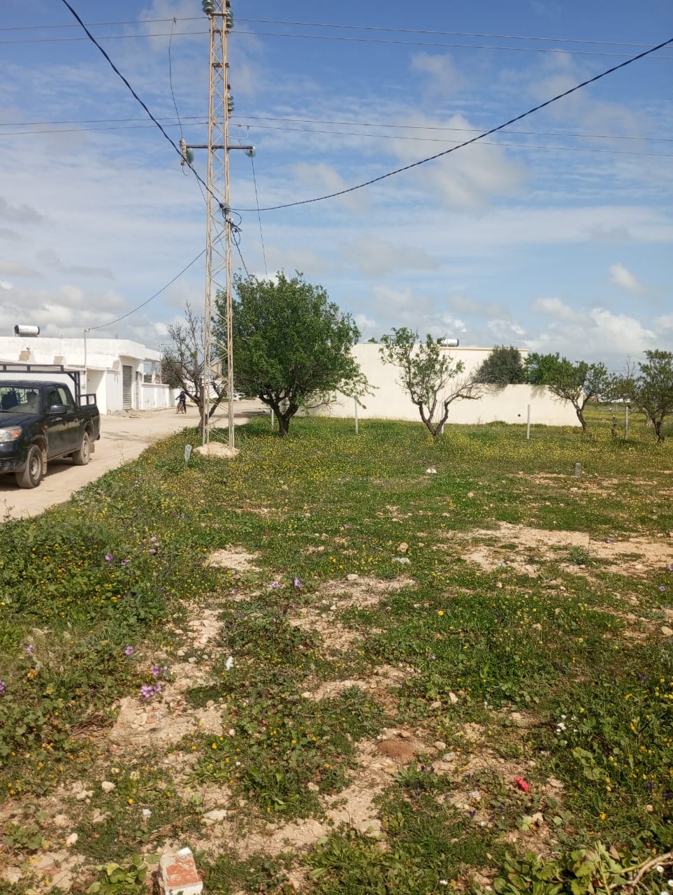 Hammamet Hammamet Terrain Terrain nu Av 250m loin 1km de la mer  hammamet sud