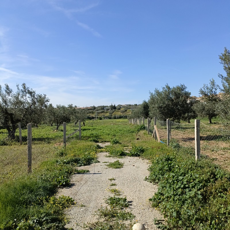 Hammamet Hammamet Terrain Terrain nu Av terrain 1680m  monchar hammamet sud