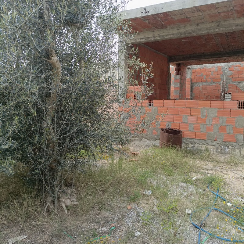 Hammamet Hammamet Vente Maisons Maison non fini de 300m av