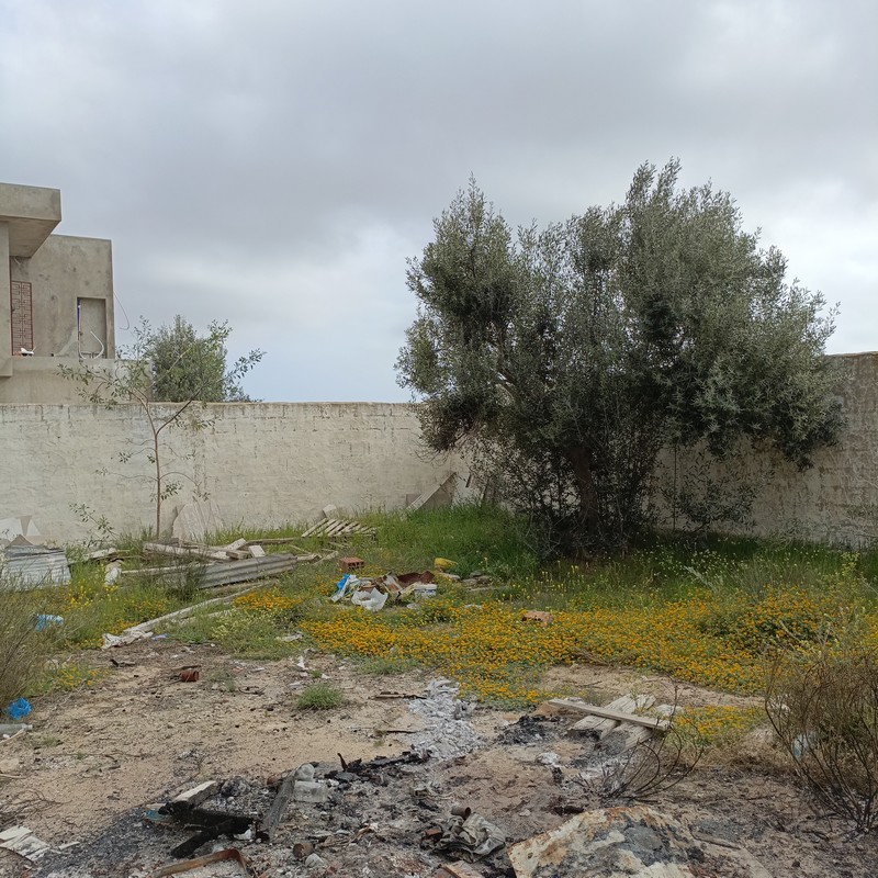 Hammamet Hammamet Vente Maisons Maison non fini de 300m av