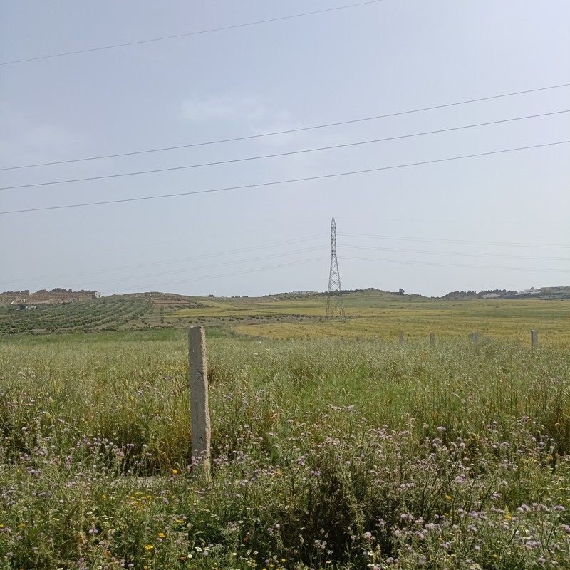 Hammamet Hammamet Terrain Terrain nu Av terrain 840m a 30md  hammamet sud