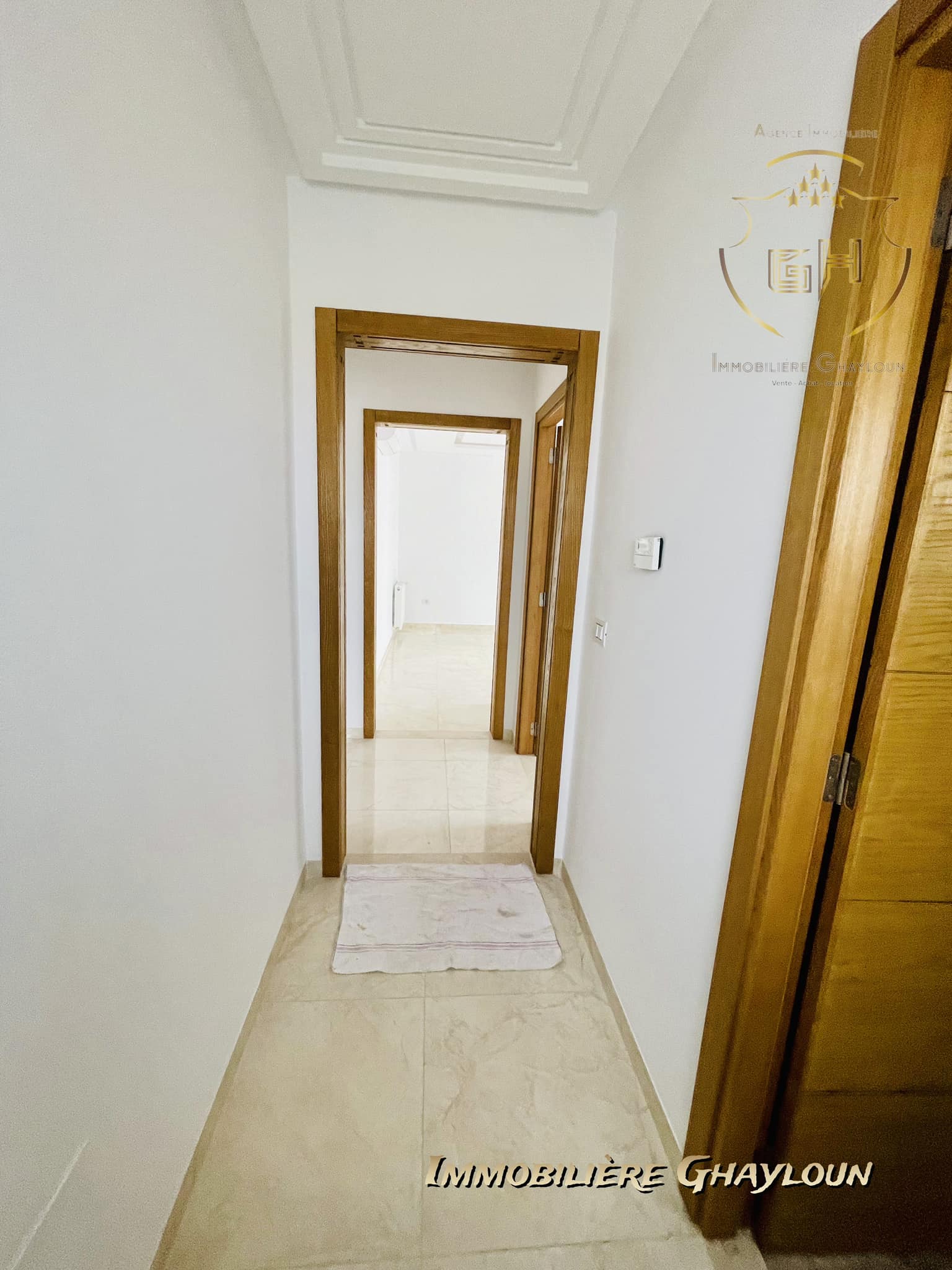 El Menzah El Menzah 9 Location Appart. 2 pices Luxueux s1 jamais habit menzah 9c avec terrasse