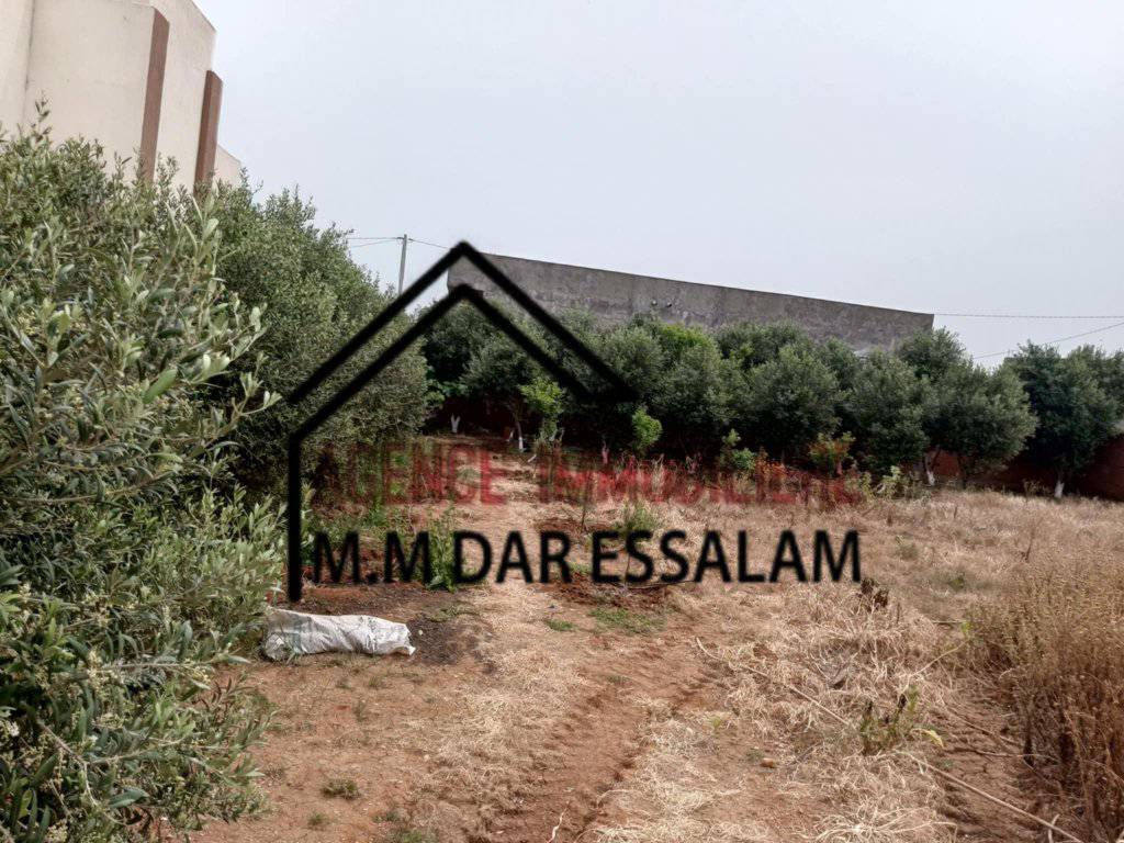 Kelibia Dar Allouche Terrain Terrain nu Terrain clotur  dar allouche