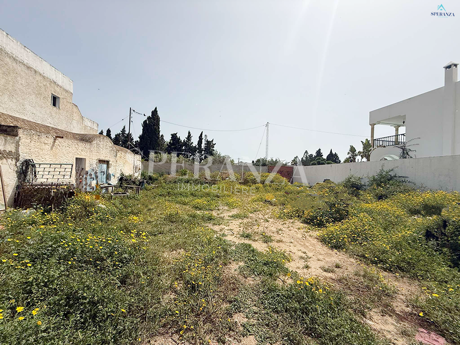 Hammamet Hammamet Vente Autre Terrain choco