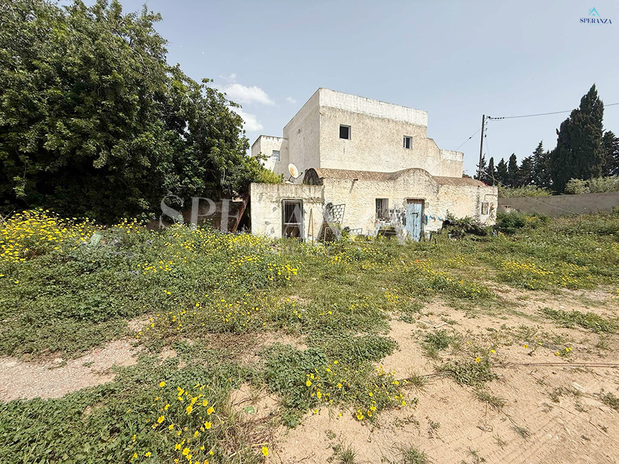 Hammamet Hammamet Vente Autre Terrain choco