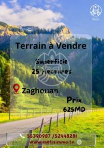 Zaghouan Zaghouan Vente Surfaces Terrain   ref652a