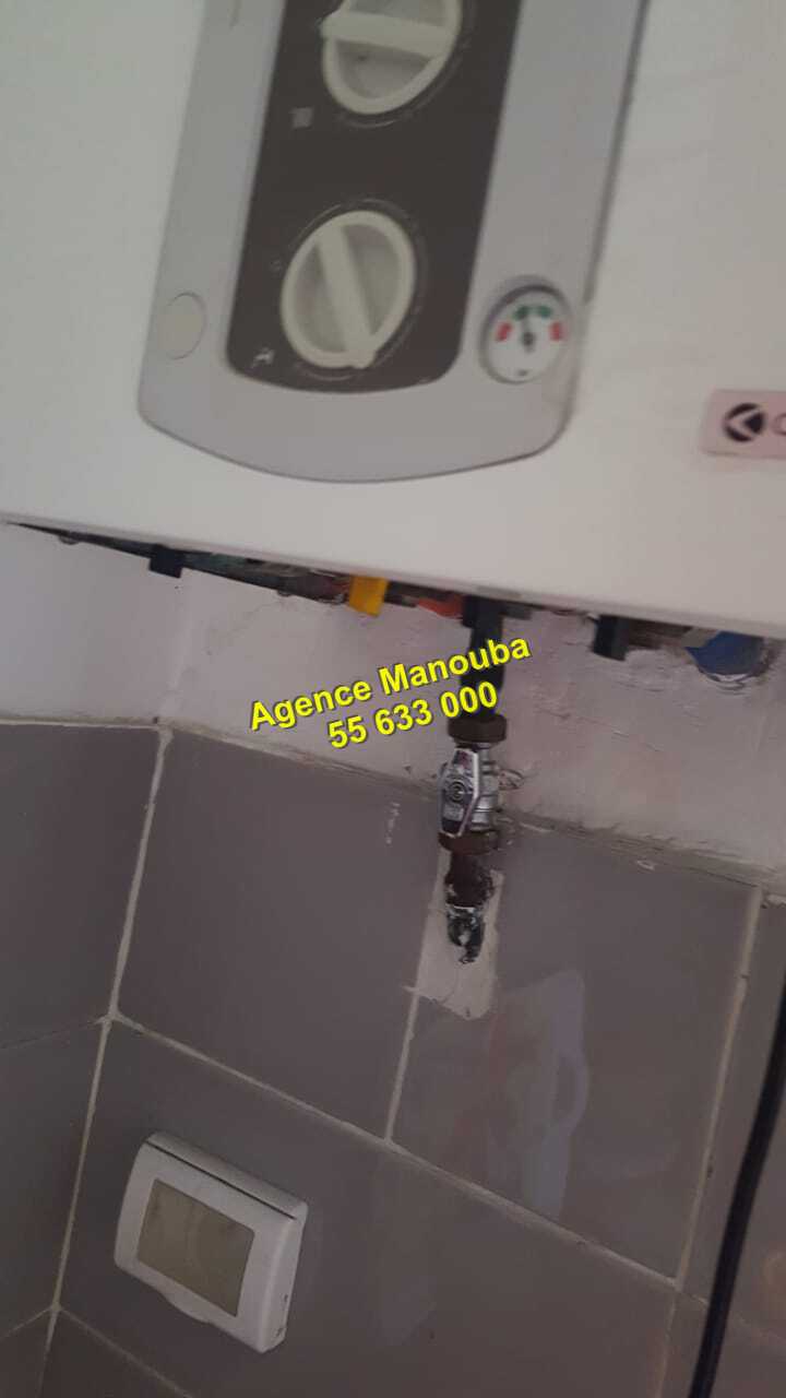 Mannouba La Mannouba Location Appart. 1 pice Appartement s1 ref5599