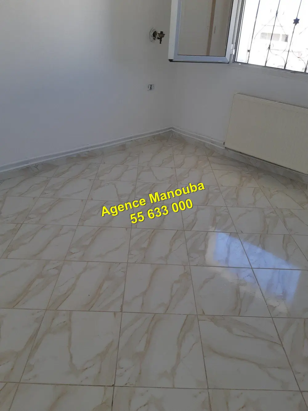 Mannouba La Mannouba Location Appart. 2 pices Appartement s2 ref 8835