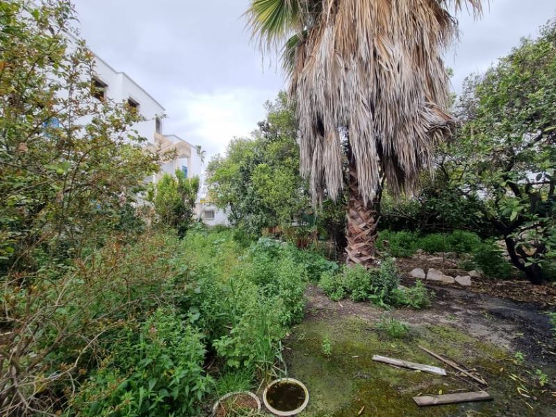 Le Bardo Le Bardo Vente Maisons Villa bardo ref v2518