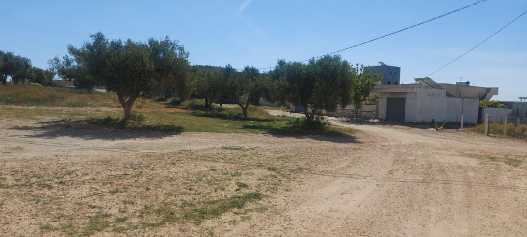 Soliman Soliman Vente Surfaces Lot de terrain 250m2  soliman