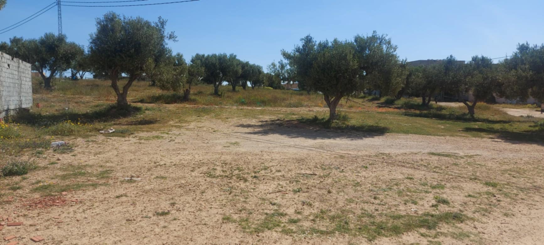 Soliman Soliman Vente Surfaces Lot de terrain 250m2  soliman