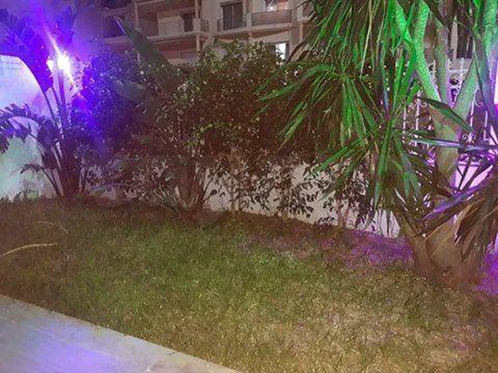 El Menzah El Menzah 9 Vente Appart. 1 pice Bel apt avec jardin