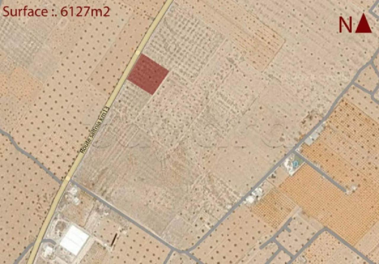 Sakiet Eddaier Essaltania Terrain Terrain agricole Terrain 6127m2