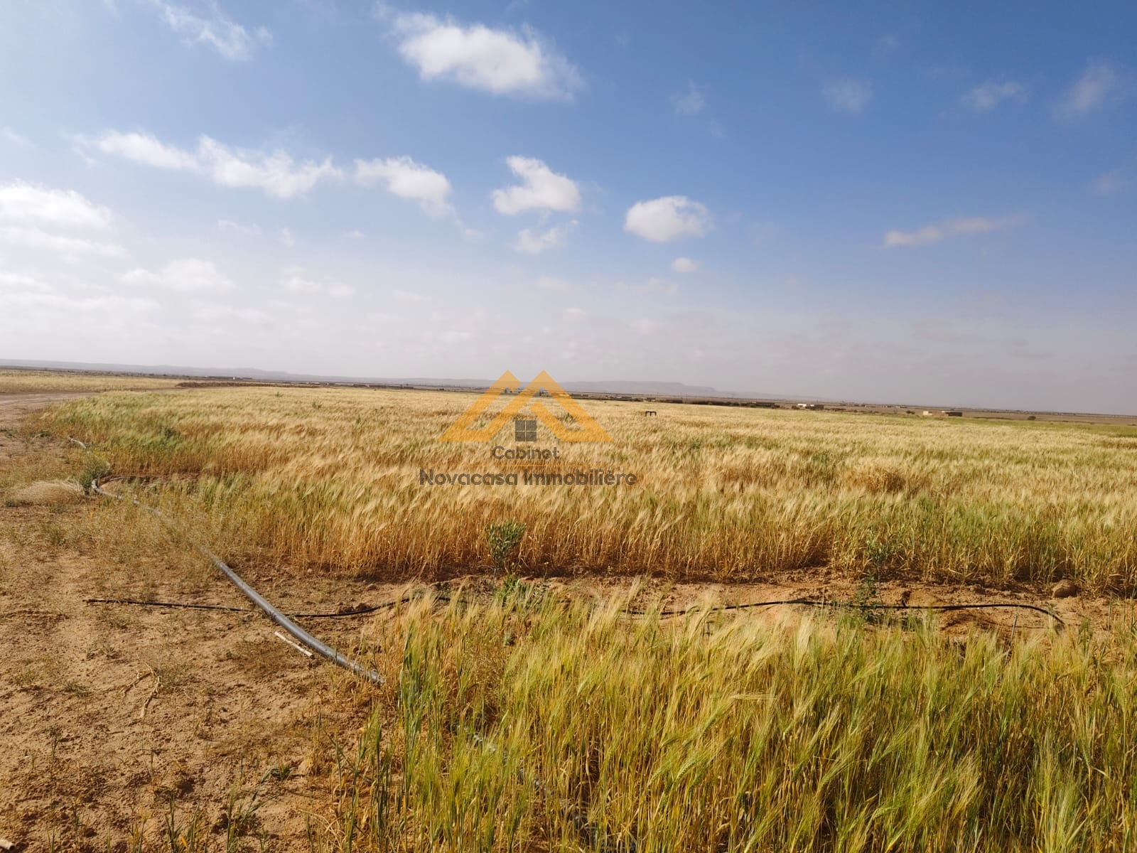 Sfax Est Cite El Habib Terrain Terrain agricole Henchir agricole  sbih menzel lahbib