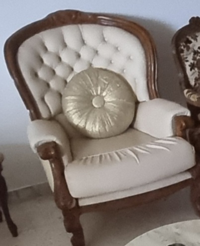Ariana Ville El Menzah 5 Salon - Salle  manger  Salons Salon en cuir beige de haute qualit