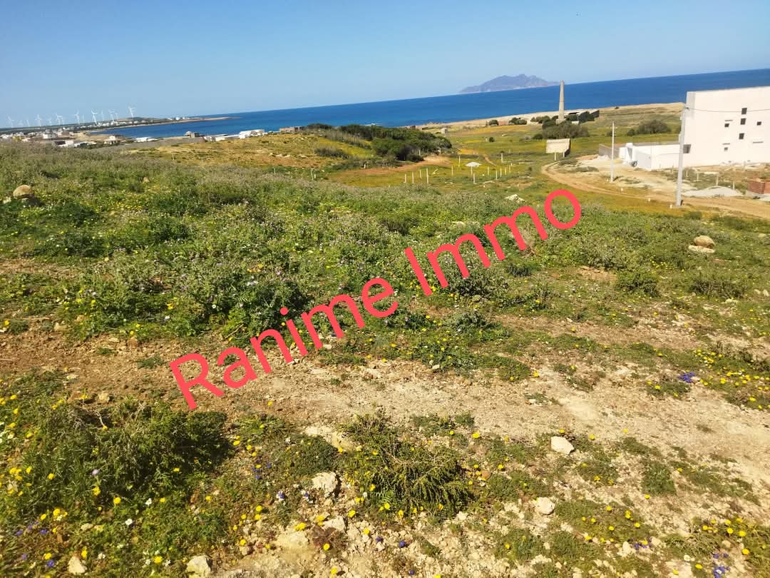 El Haouaria Cite Touristique Terrain Terrain nu Terrain de 1520m2 a la mer el haouaria