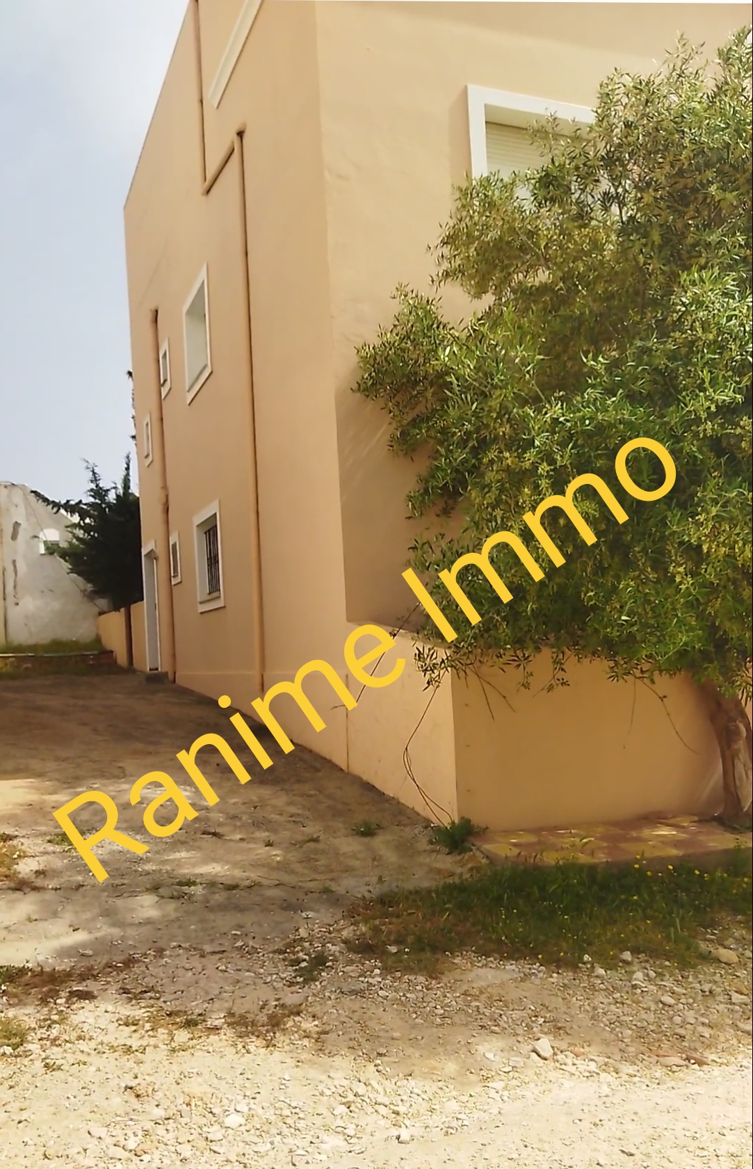 El Haouaria Cite Touristique Vente Appart. 3 pices Trois appartements s2 plage el haouaria