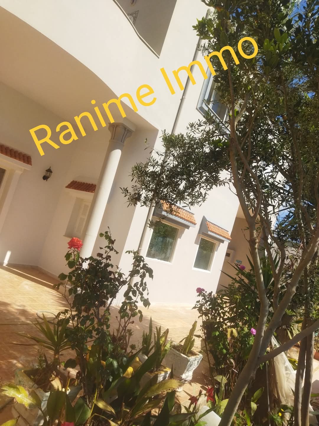 El Haouaria Cite Touristique Vente Maisons Villa haute standing a la plage de 350m2