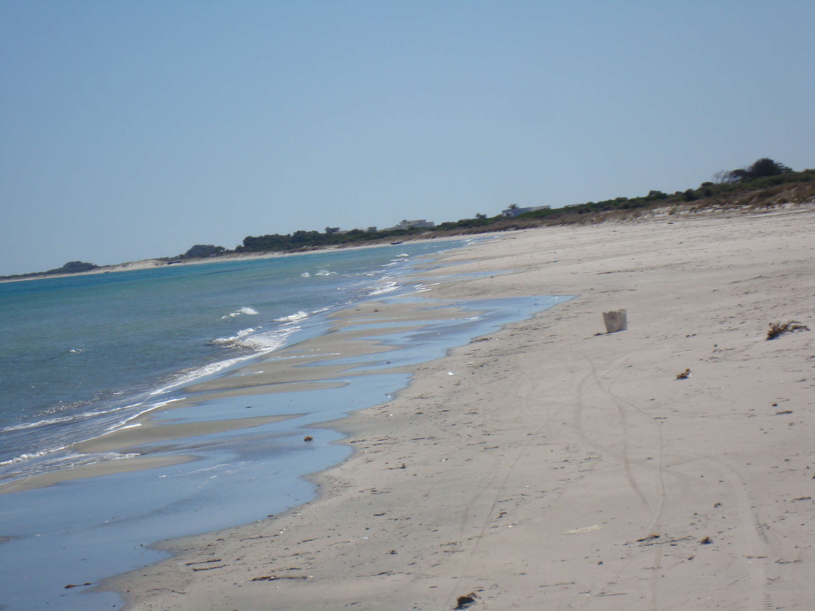 Kelibia Kerkouane Terrain Terrain nu 1 hectare au cap bon kelibia