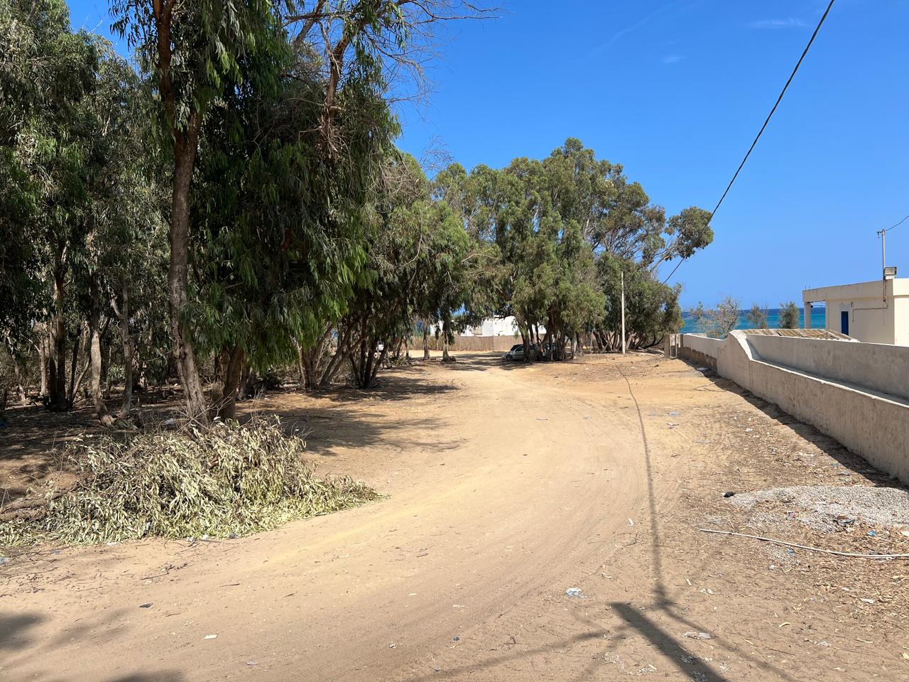El Haouaria El Haouaria Terrain Terrain nu 10000 mtre carr  cot el haouaria