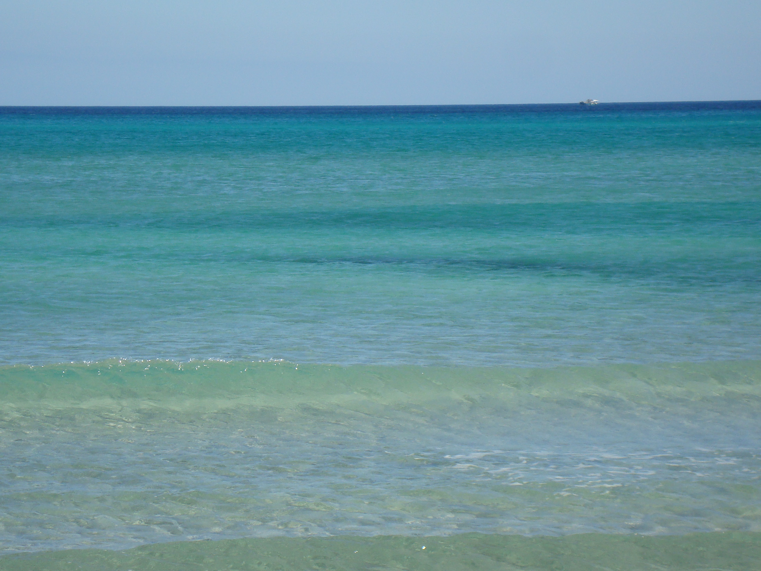 Kelibia Dar Allouche Terrain Terrain nu 1 hectare a partager cot dar allouche