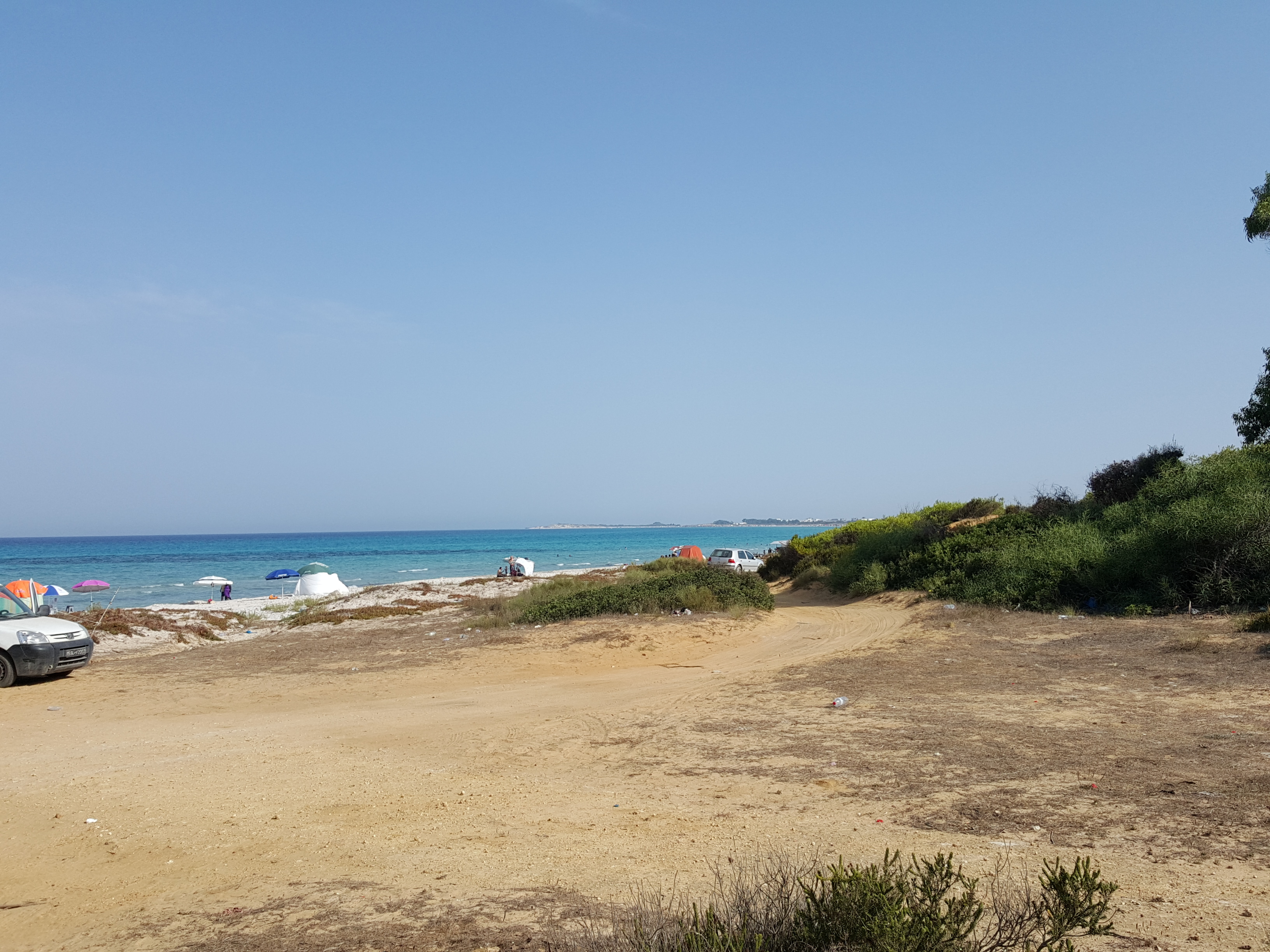 Hammam El Ghezaz Hammam Jebli Terrain Terrain nu 1 hectare de hammam el ghezaz   partager