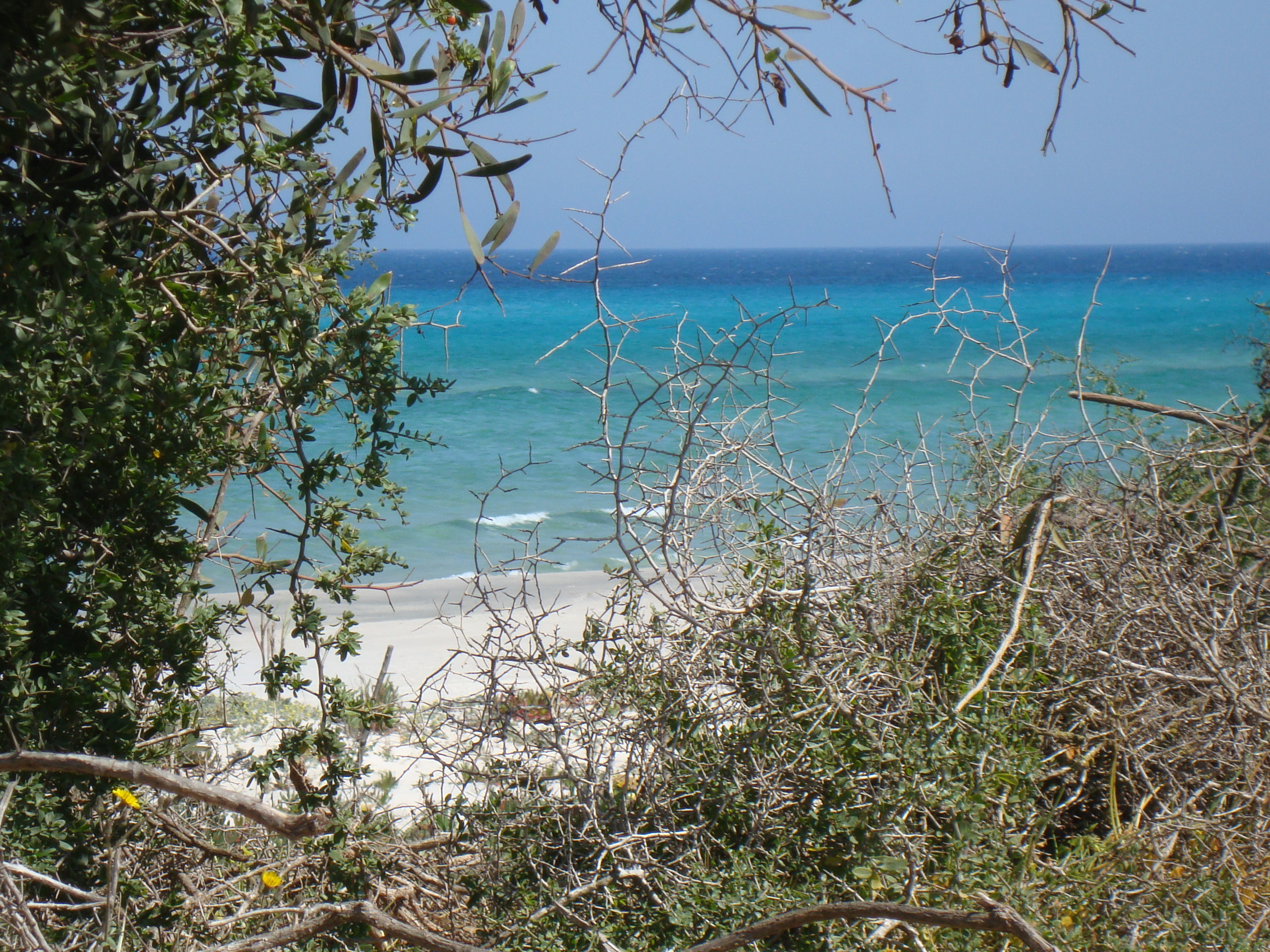 Kelibia Kerkouane Terrain Terrain nu Bonne occasion de 1 hectare au cap bon