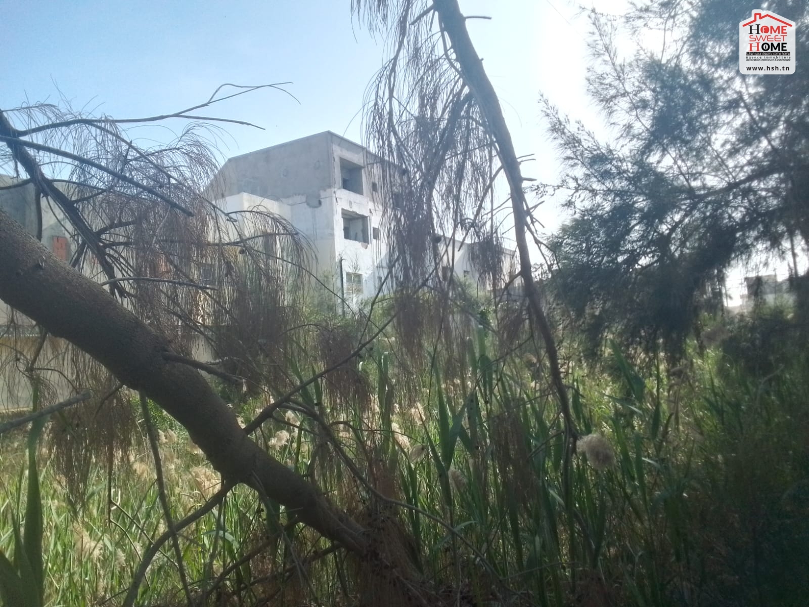 Ben Arous Ben Arous Vente Autre Terrain villa  perla  rades meliene