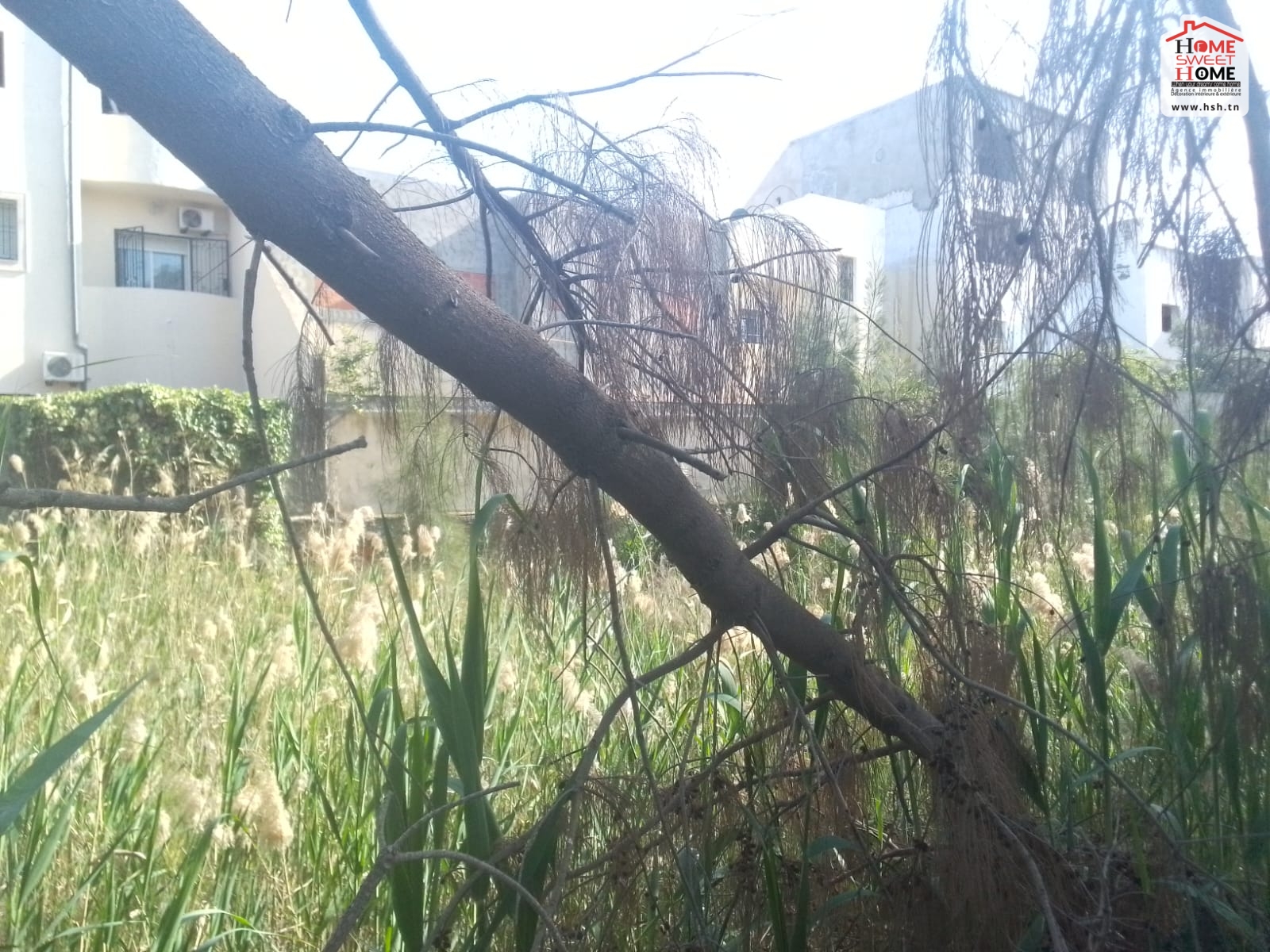 Ben Arous Ben Arous Vente Autre Terrain villa  perla  rades meliene