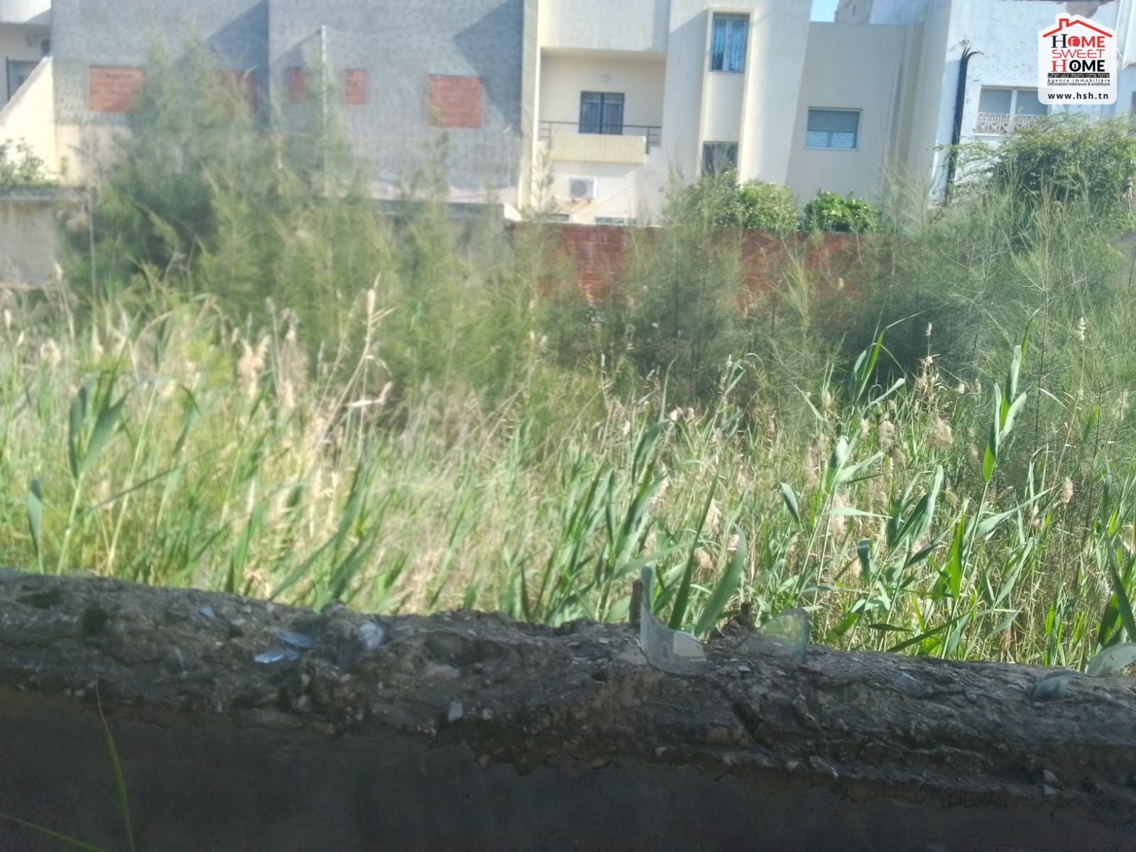Ben Arous Ben Arous Vente Autre Terrain villa  perla  rades meliene
