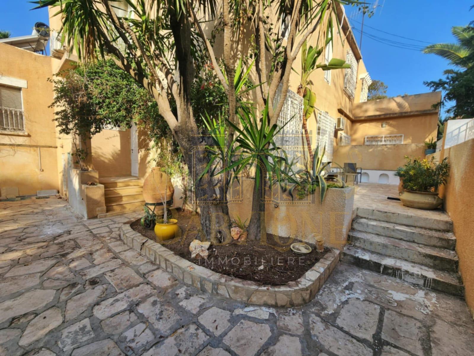 Carthage Cartage Byrsa Location Maisons S3 meuble  carthage