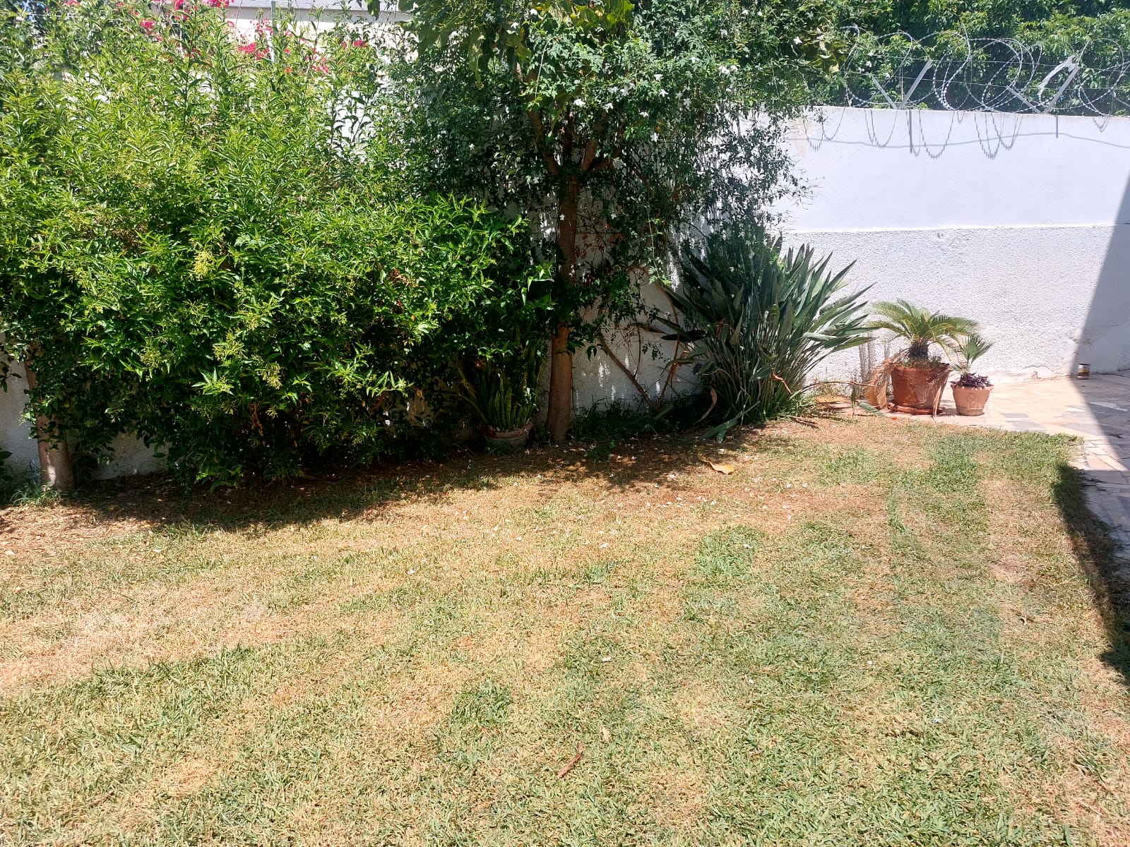 Carthage Carthage Location Appart. 4 pices S3 meubl avec piscine