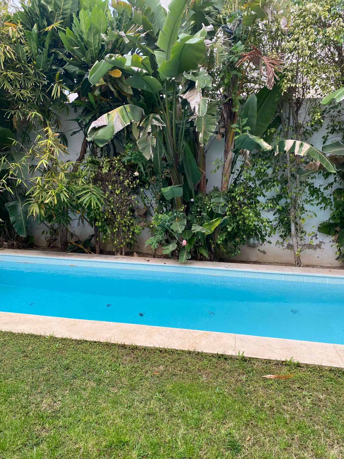 La Marsa Marsa Ennassim Location Maisons Villa s3 avec piscine  la marsa