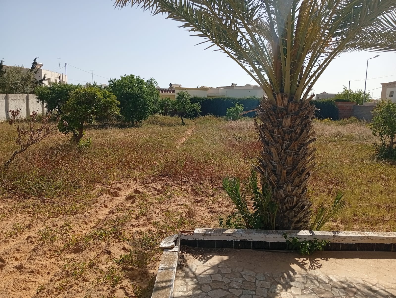 Sfax Ville Sfax Terrain Terrain nu Terrain 1125m2  route lafrane km 4