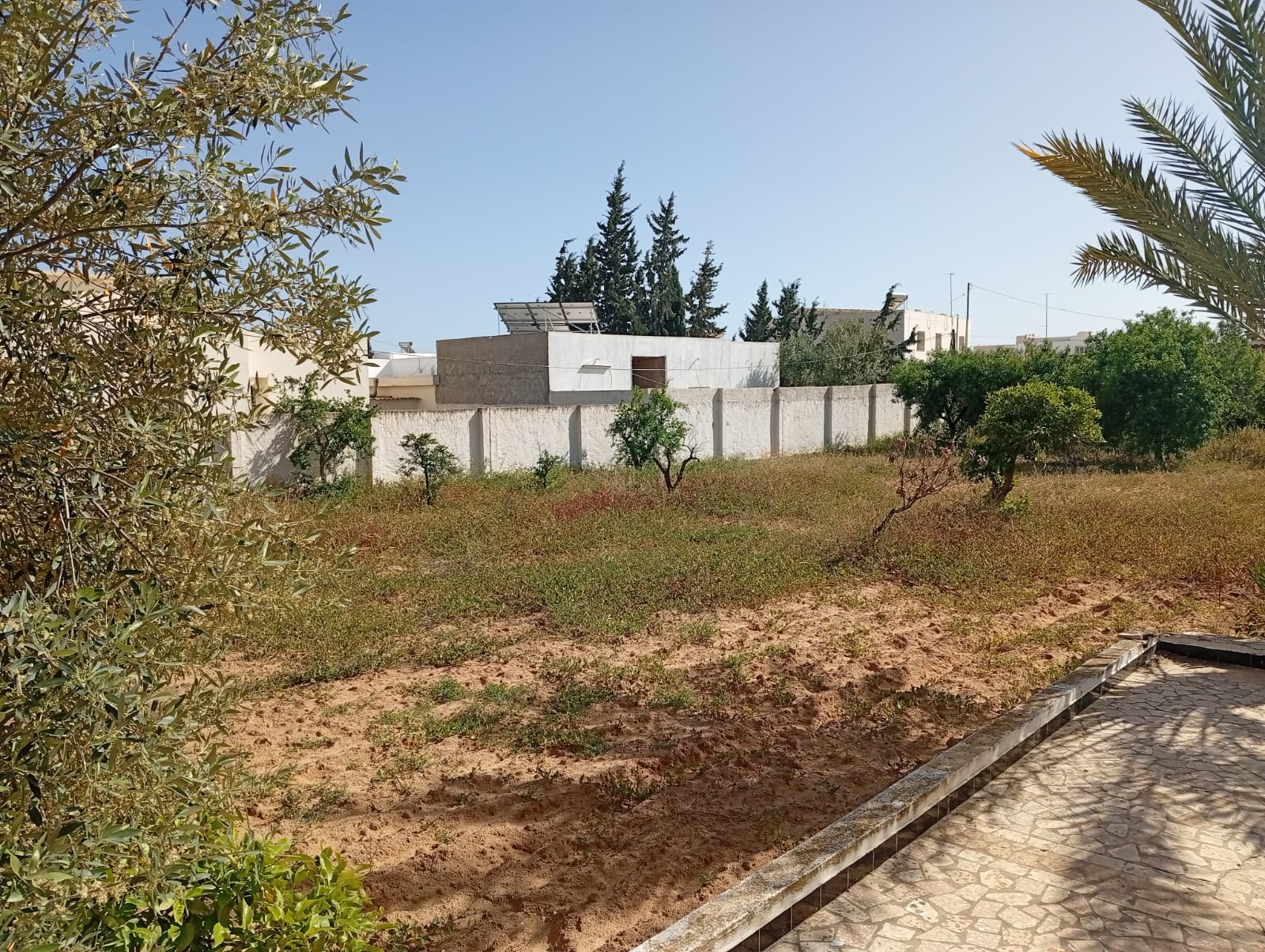Sfax Ville Sfax Terrain Terrain nu Terrain 550m2  route lafrane km 4