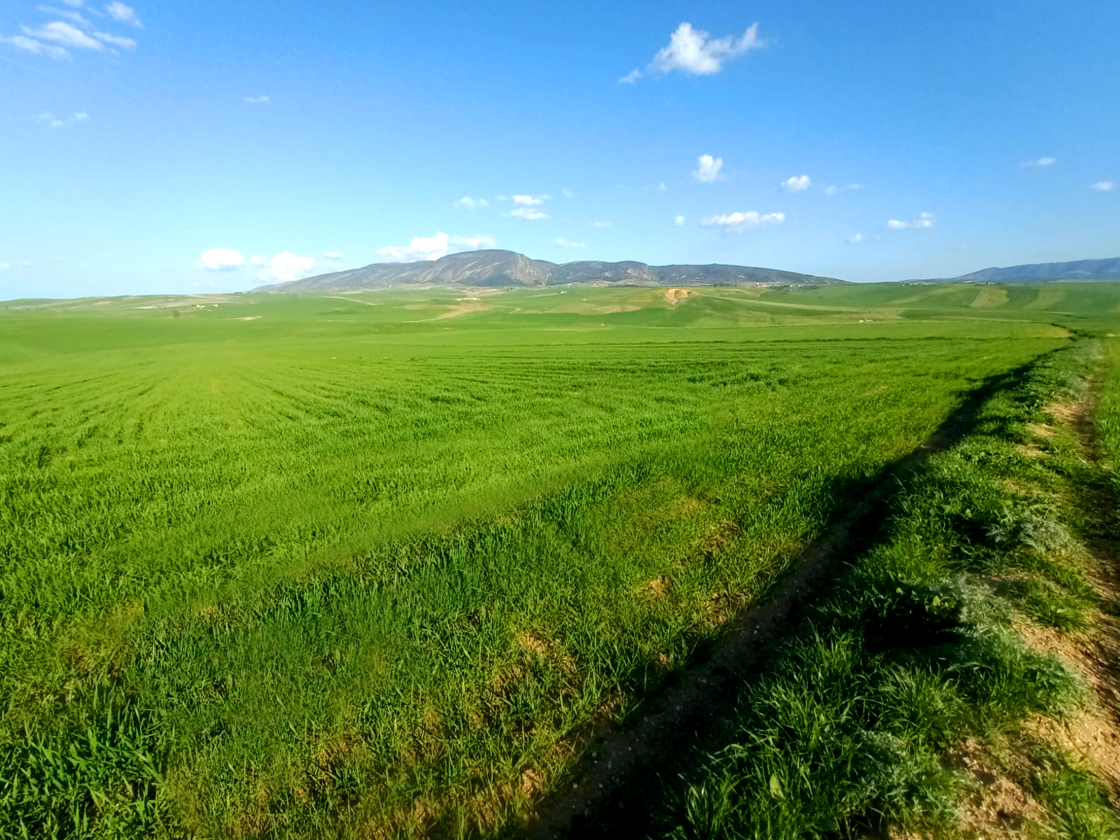 Bargou Marj Aouam Terrain Terrain agricole Terrain agricole fertile
