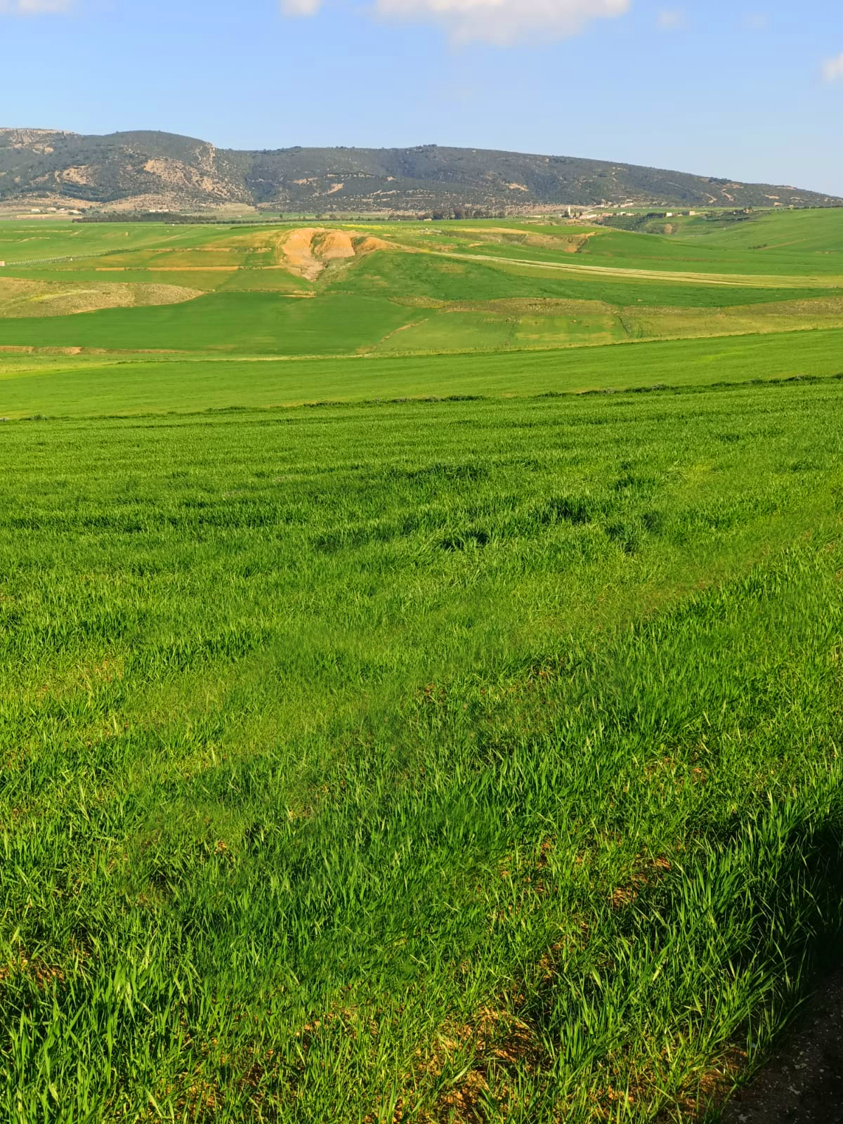 Bargou Marj Aouam Terrain Terrain agricole Terrain agricole fertile