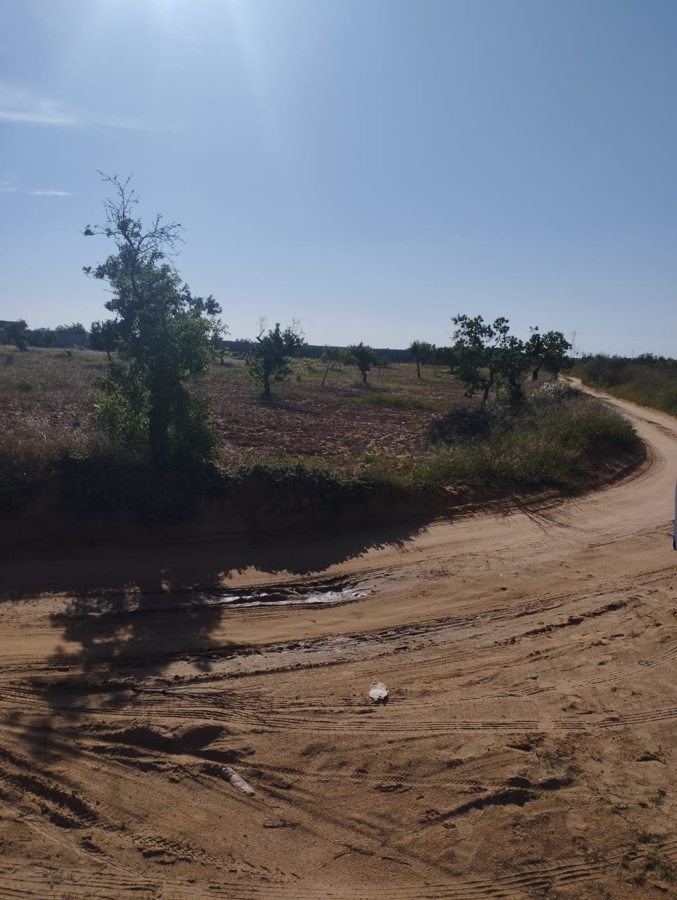 Sfax Sud Merkez Chaabouni Terrain Terrain nu Terrain route ataya