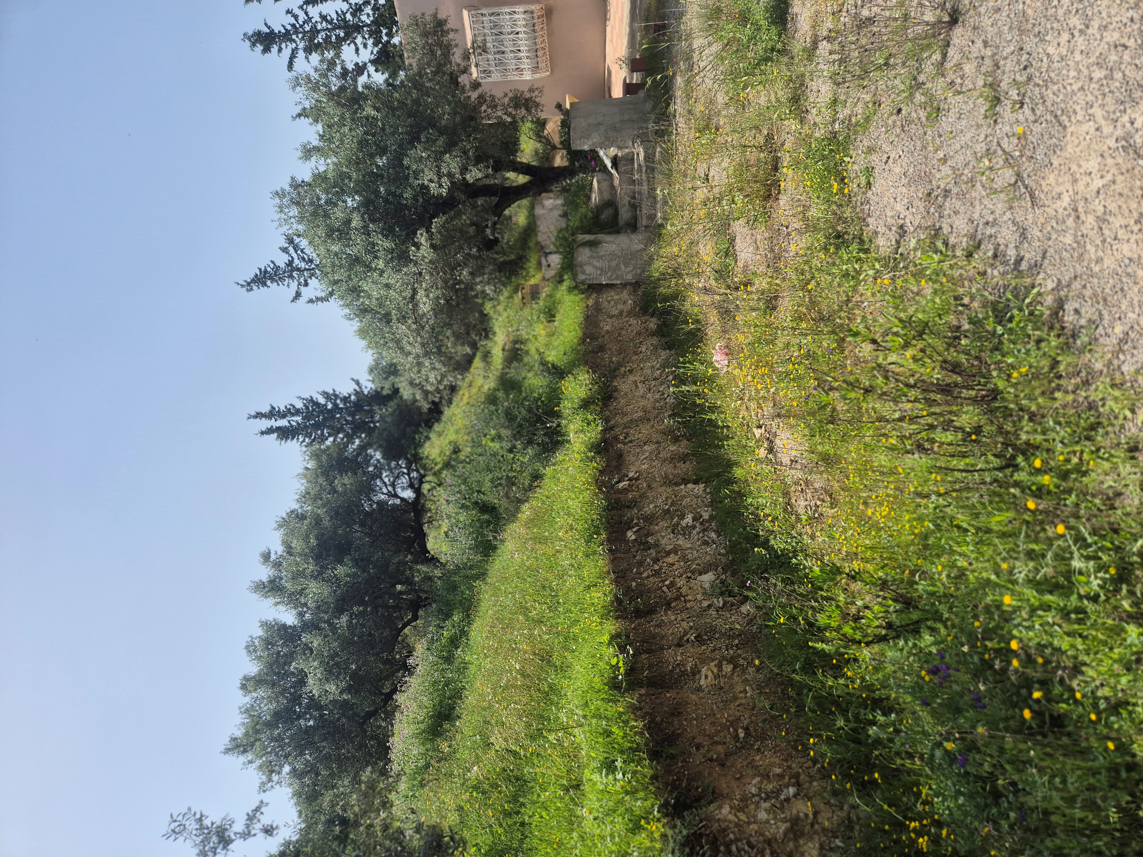 Mornag Tarhouna 1 Terrain Terrain agricole Terrain vue panoramique
