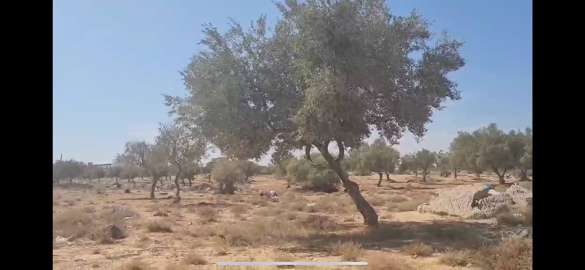 Hammam Sousse Hammam Sousse Terrain Terrain nu Terrain nu a fort potentiel