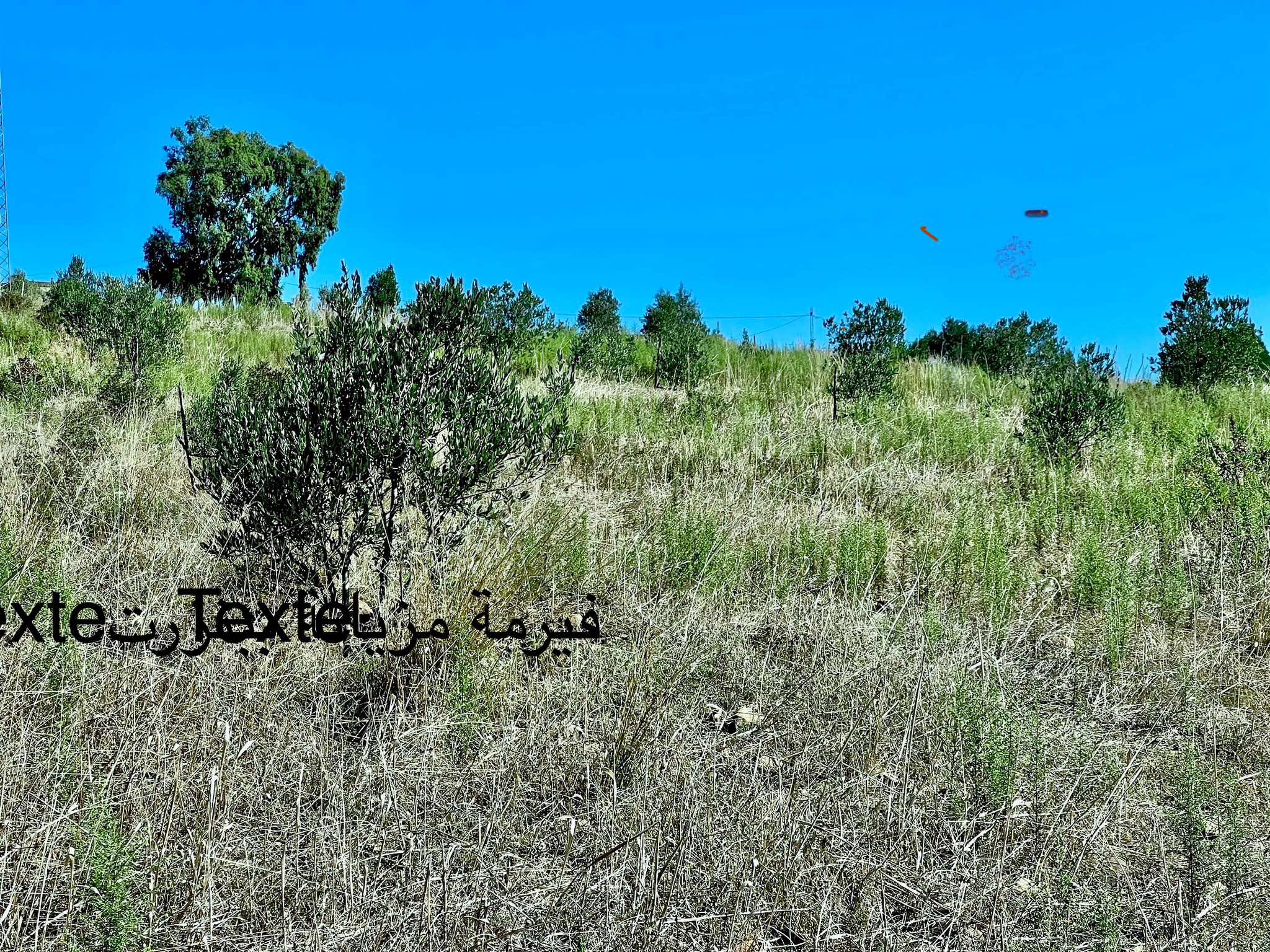 Bizerte Sud Teskraya Terrain Terrain agricole Belle ferme  teskraya bizerte sur la route princip
