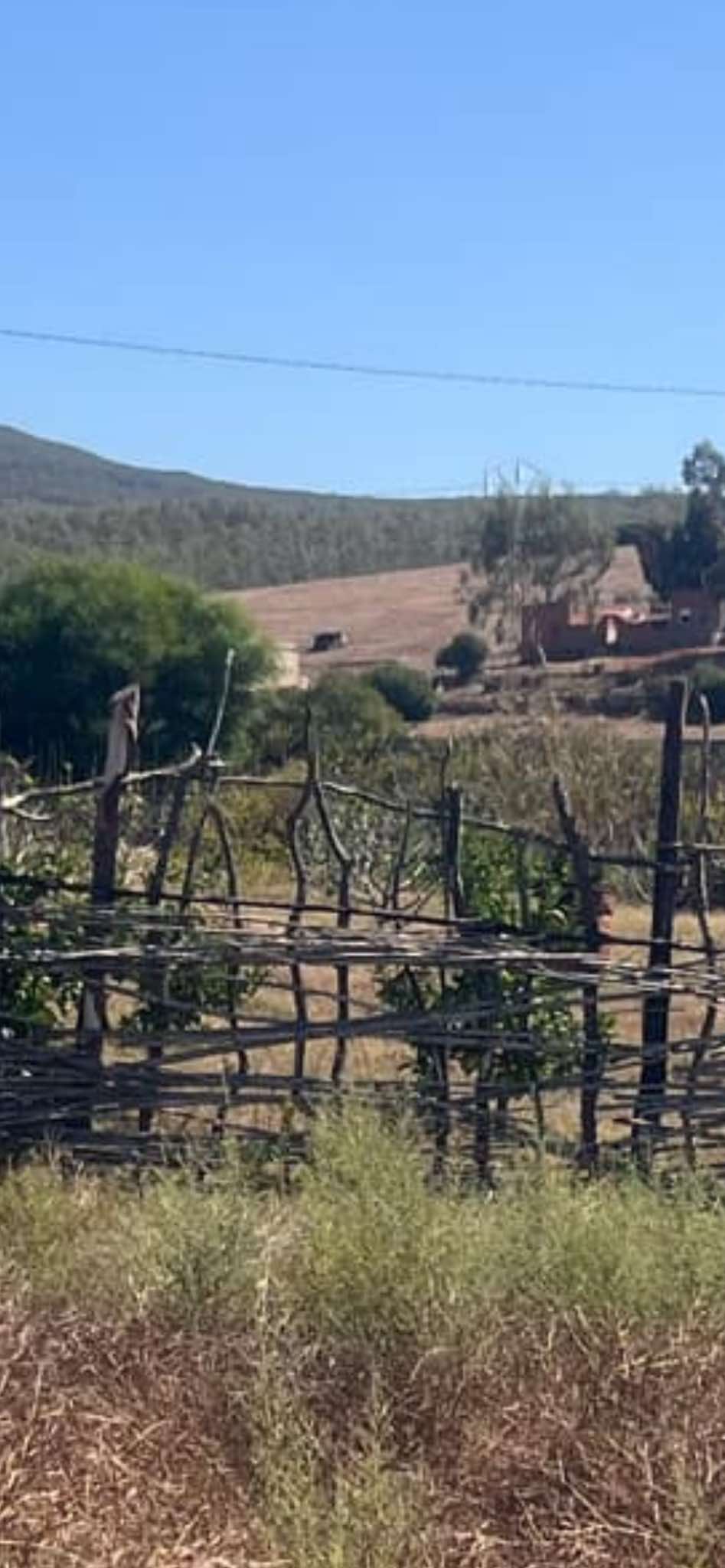 Bizerte Sud Teskraya Terrain Terrain agricole Belle ferme  teskraya bizerte sur la route princip