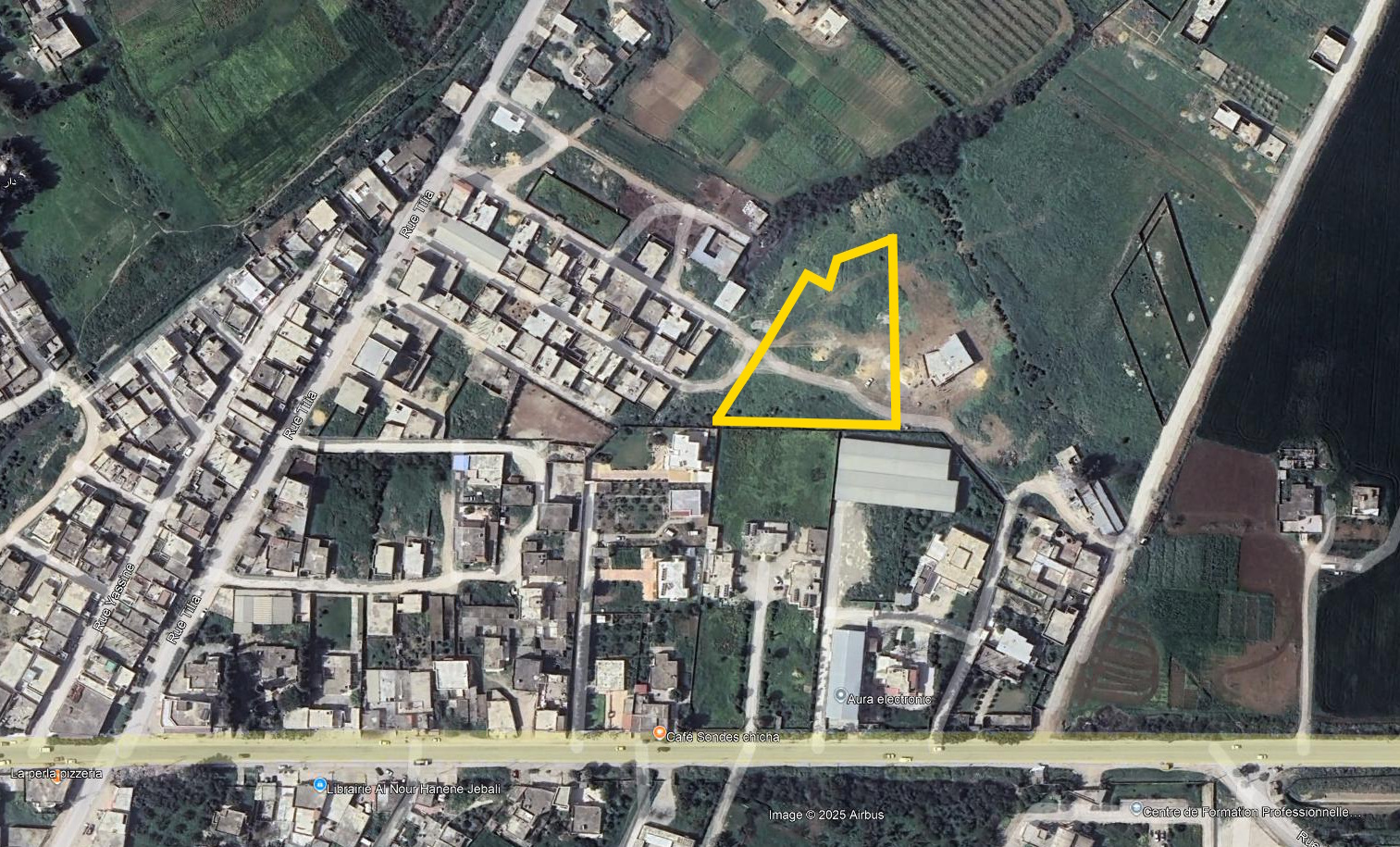 Oued Ellil Oued Ellil Terrain Terrain nu Lot de terrains  bejaoua 1