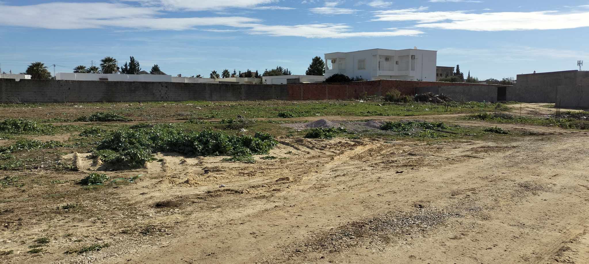 Oued Ellil Oued Ellil Terrain Terrain nu Lot de terrains  bejaoua 1