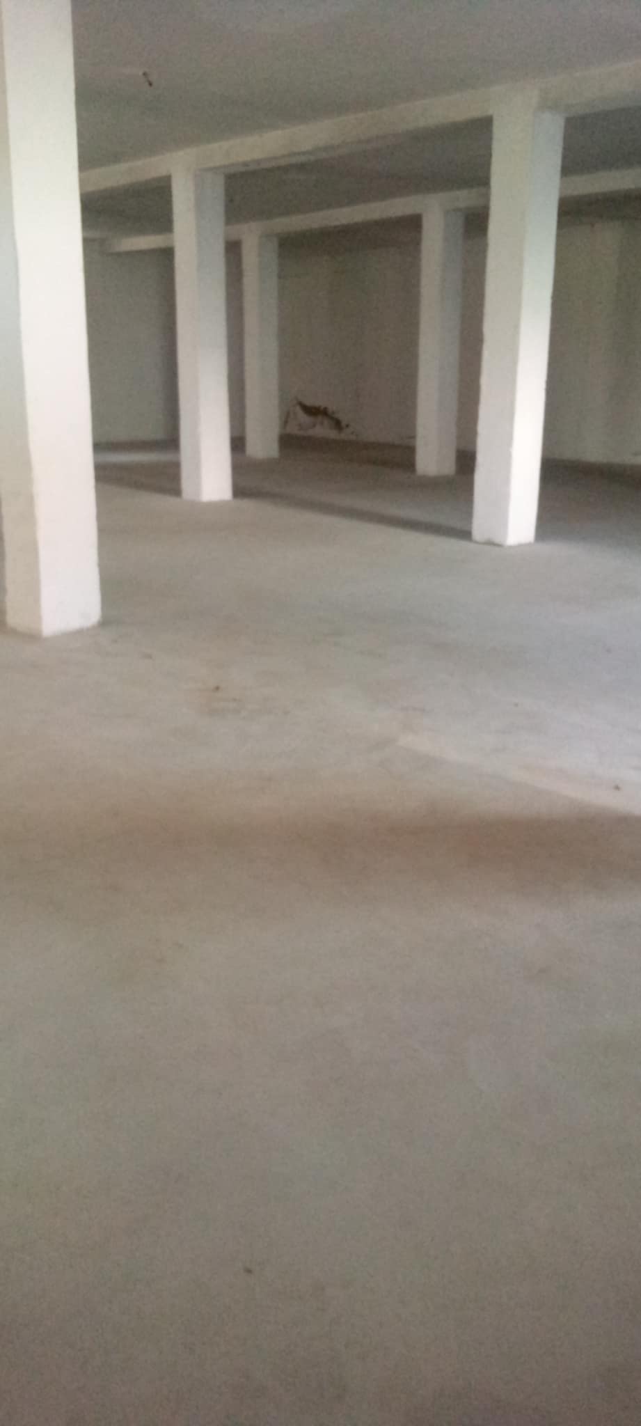 La Marsa El Aouina Location Surfaces Dpot  l'aouina prs cole frin