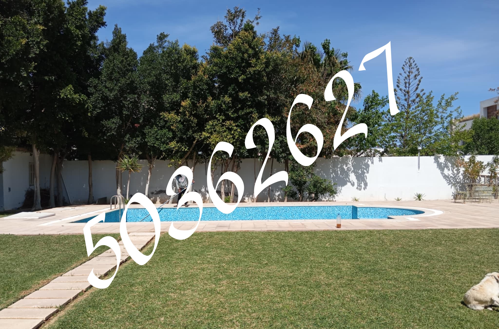 La Soukra La Soukra Vente Duplex Un grand villa avec piscine   la soukra